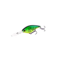 reniersfishing202606031940502424727