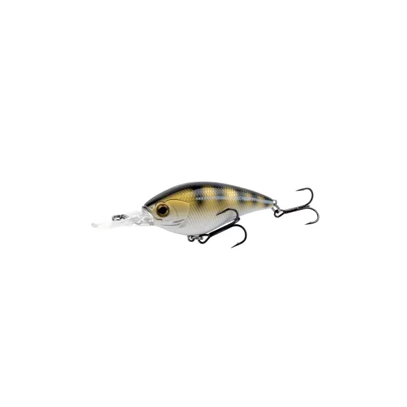 reniersfishing202606031940562424827