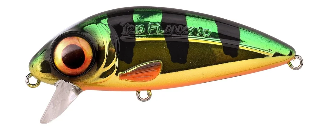 reniersfishing202606031946152429690