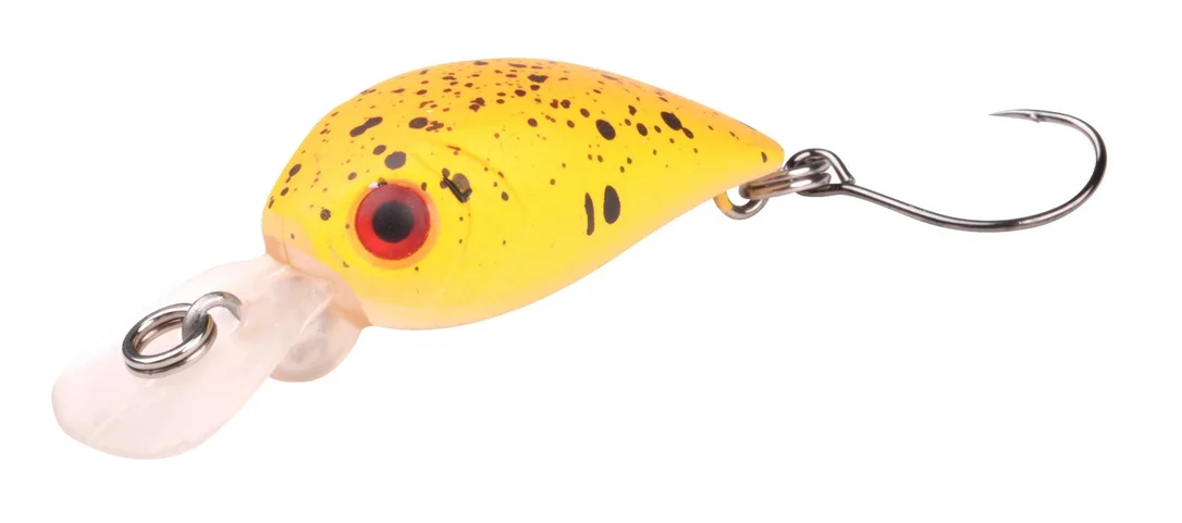 reniersfishing202606031952232435079