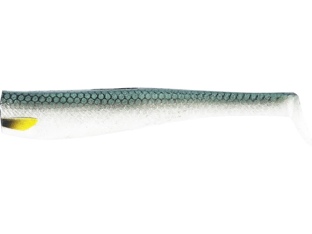 reniersfishing202606031957222439389