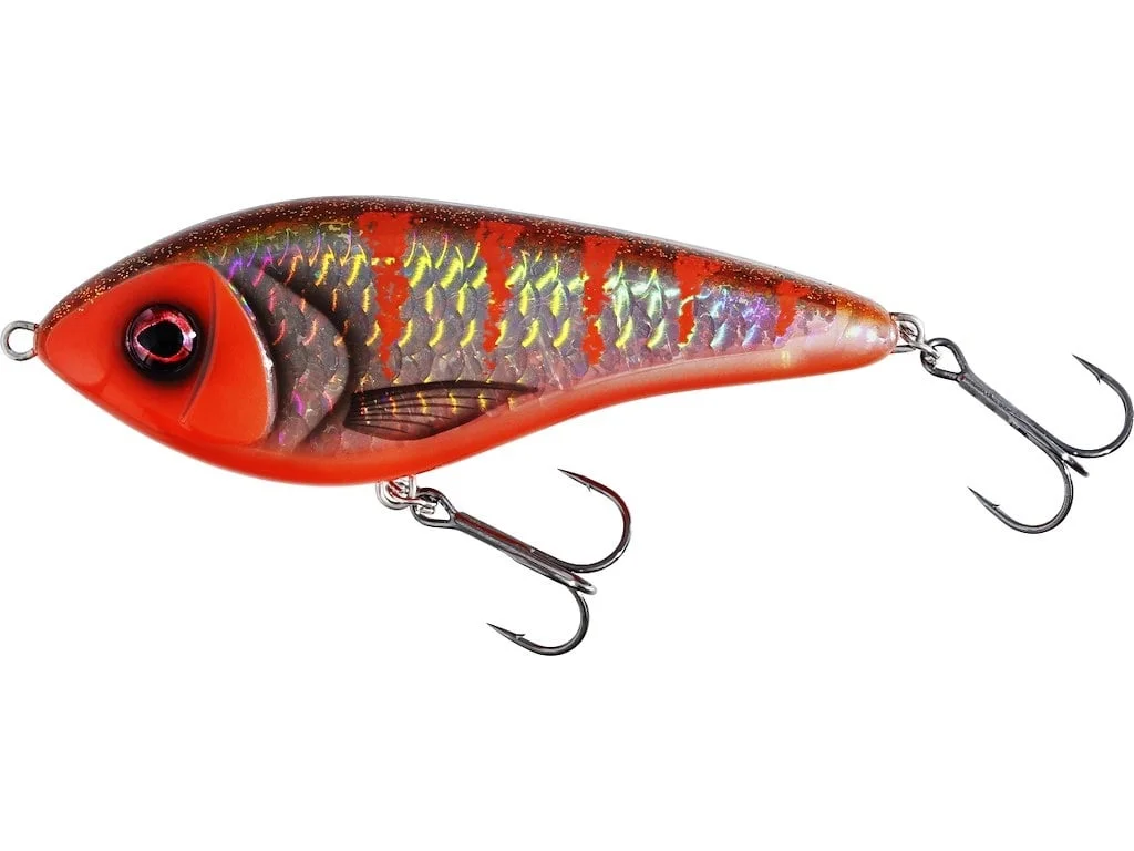 reniersfishing202606031958132440052