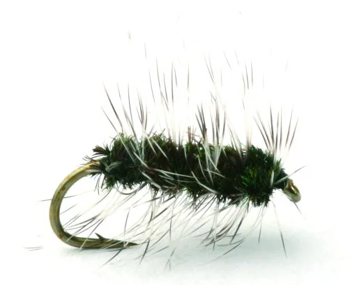 sportfishtackle202606031932472417082