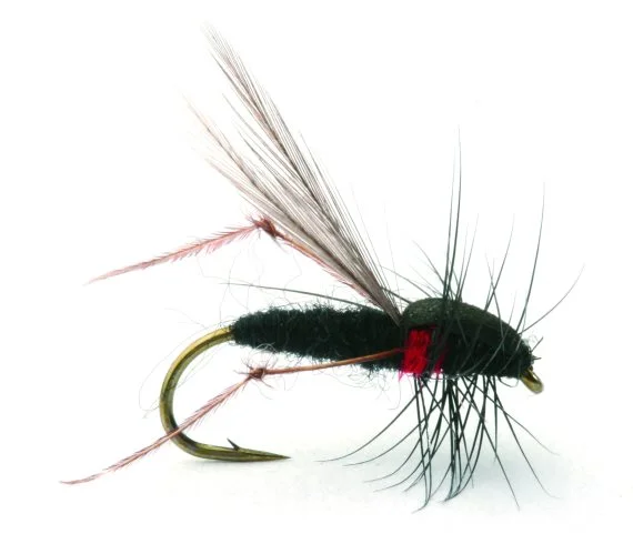 sportfishtackle202606031933052417353