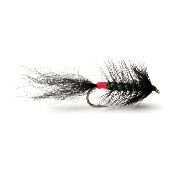 sportfishtackle202606031933162417541