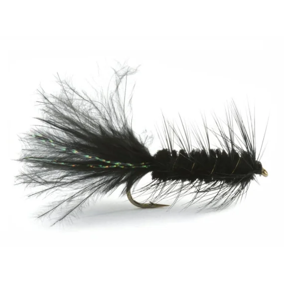 sportfishtackle202606031933202417603