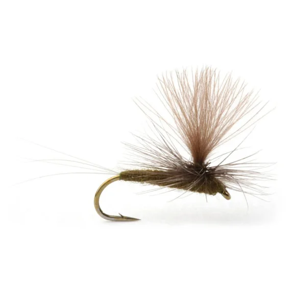 sportfishtackle202606031933362417837