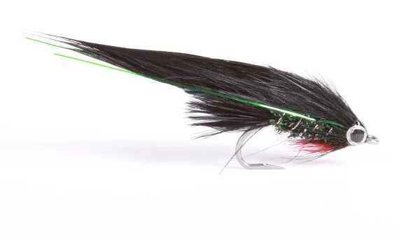 sportfishtackle202606031935442419857