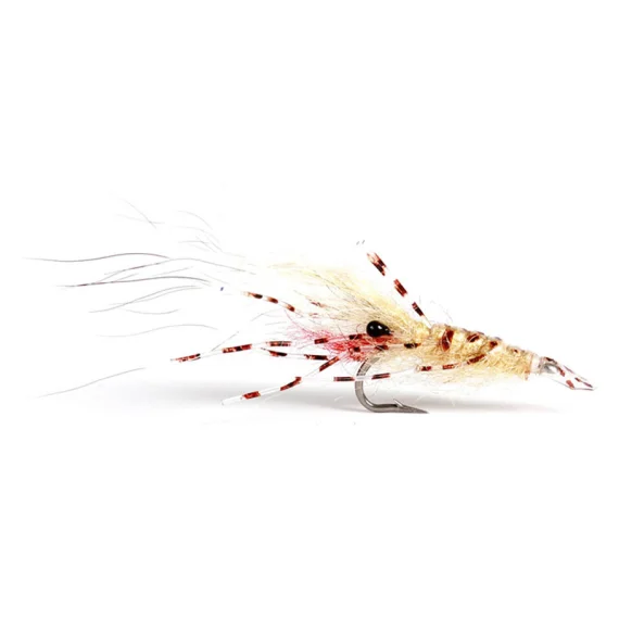 sportfishtackle202606031935502419952