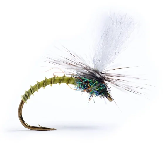 sportfishtackle202606031944342428185