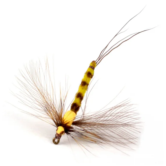 sportfishtackle202606031949502432871