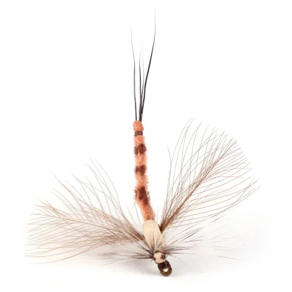 sportfishtackle202606031949512432880