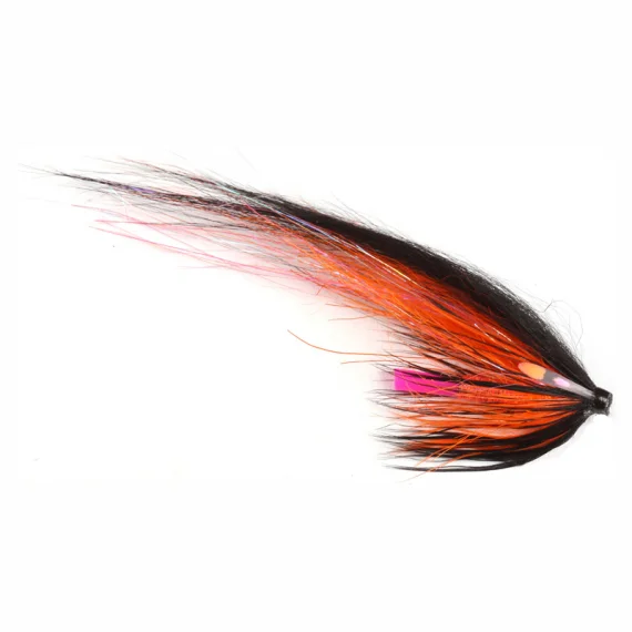 sportfishtackle202606031952322435210