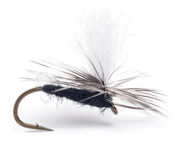 sportfishtackle202606031952462435418