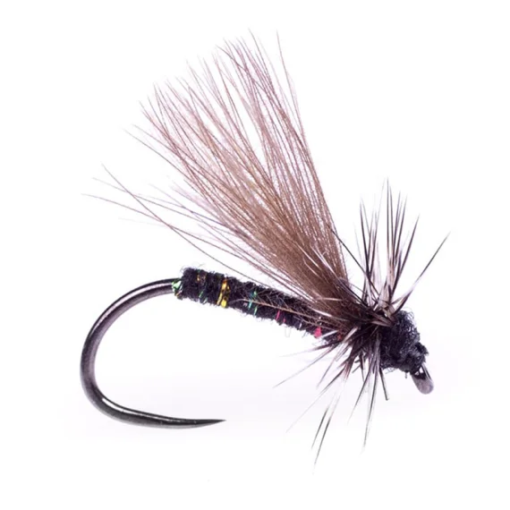 sportfishtackle202606031958352440333