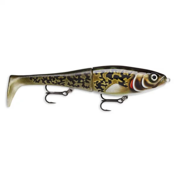 sportfishtackle202606032016222454149