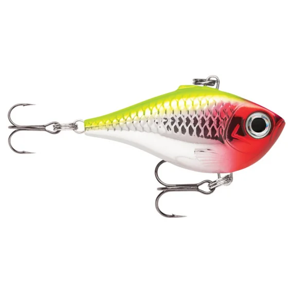 sportfishtackle202606032022052458648