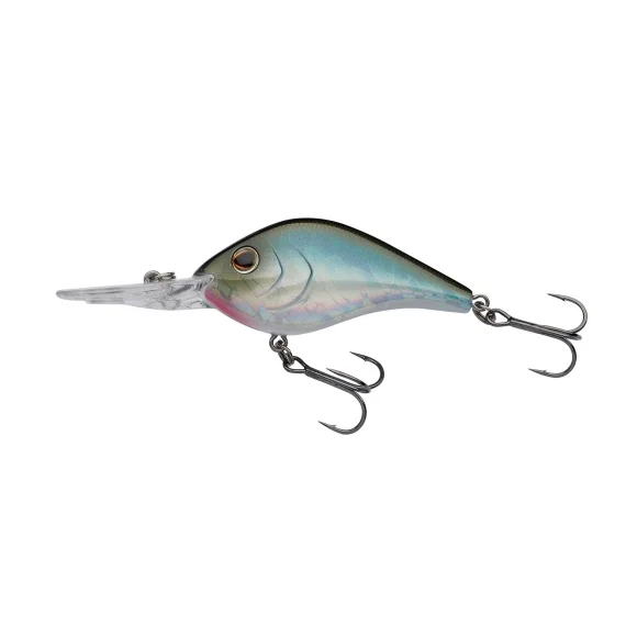sportfishtackle202606032057172483413