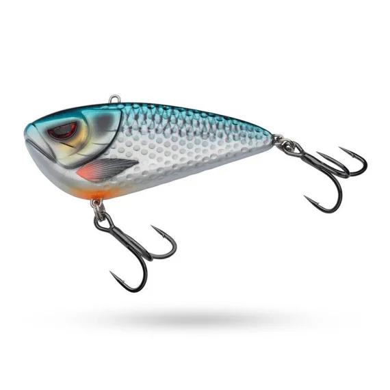 sportfishtackle202606032113102494095