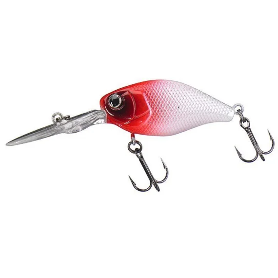 sportfishtackle202606032118562497956