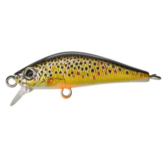 sportfishtackle202606032159132516787