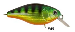 sportfishtackle202606032207192520114