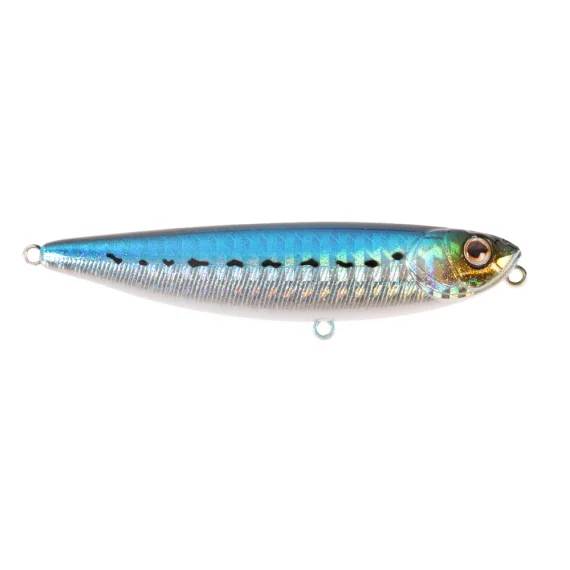 sportfishtackle202606032208082520384