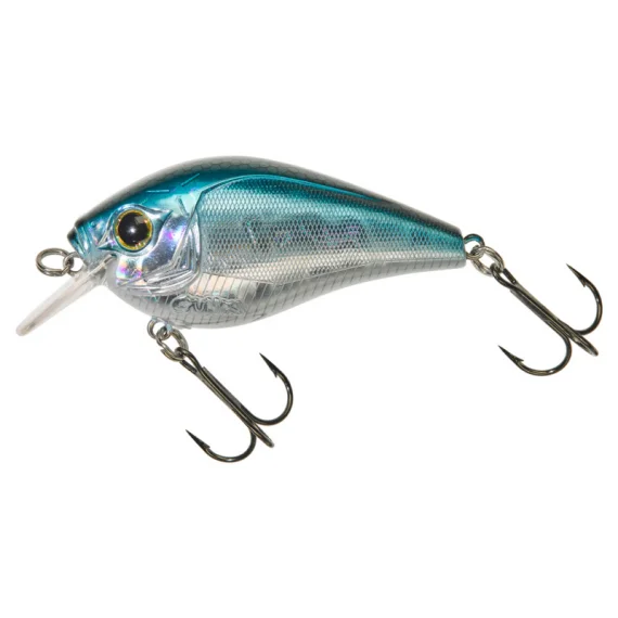 sportfishtackle202606032212192521728