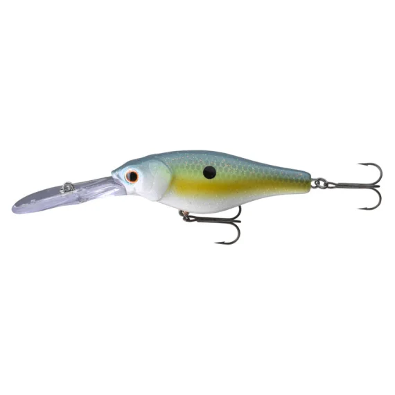sportfishtackle202606032218282524095