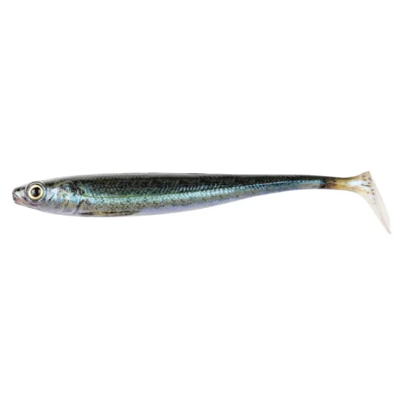 sportfishtackle202606032218372524164