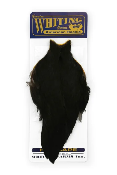 sportfishtackle202606032232032529760