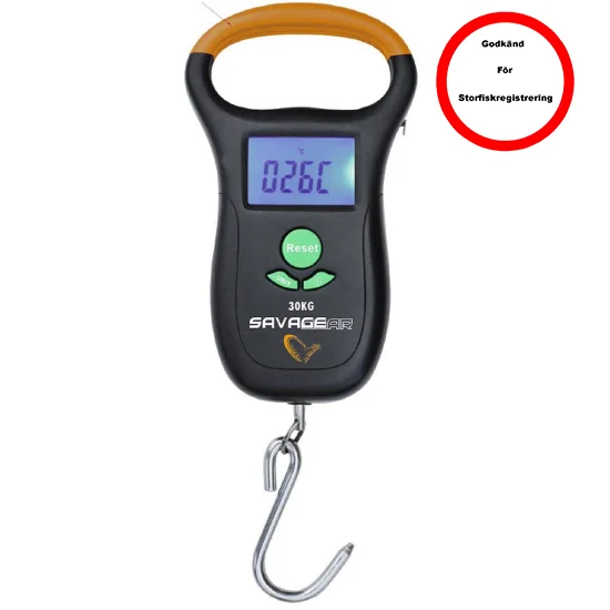 sportfishtackle202606032235372531256