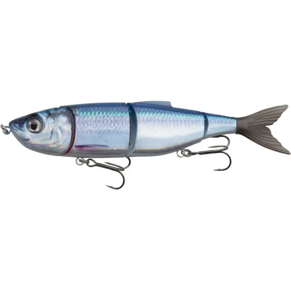 sportfishtackle202606032305482543008