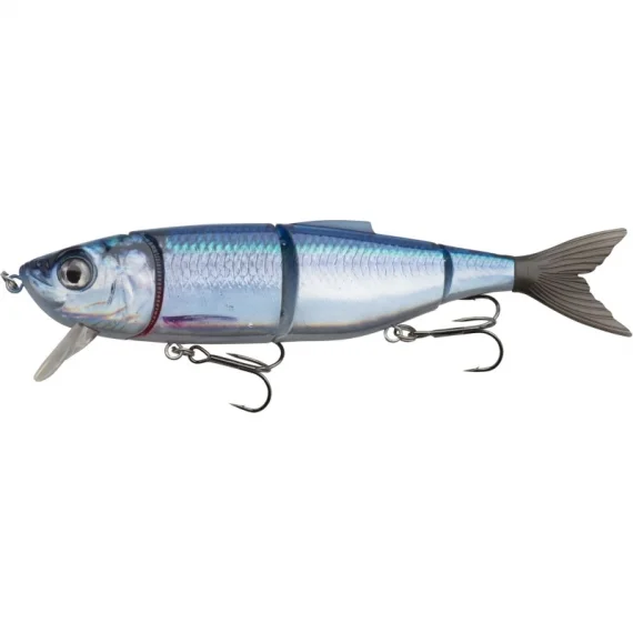 sportfishtackle202606032305552543047