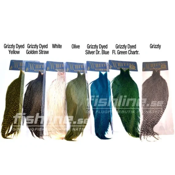 sportfishtackle202606032319572547296