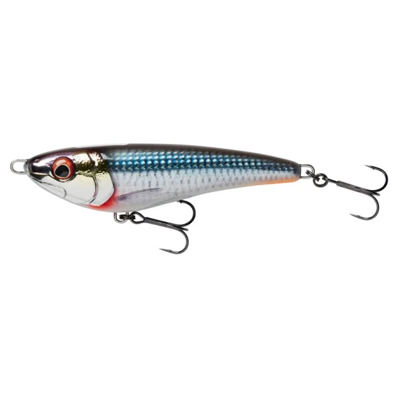 sportfishtackle202606032329522549999