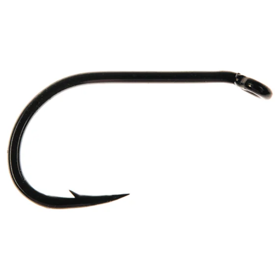 sportfishtackle202606040002452558838