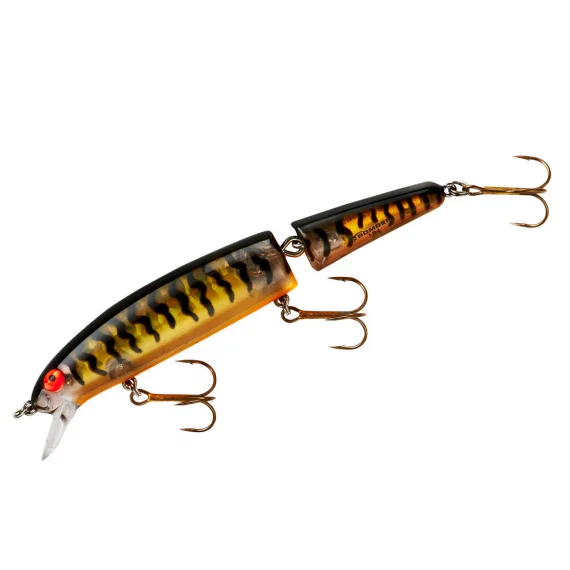sportfishtackle202606040022292564376