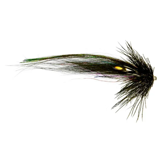 sportfishtackle202606040024132564837