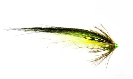 sportfishtackle202606040024322564919