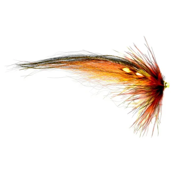 sportfishtackle202606040025082565070