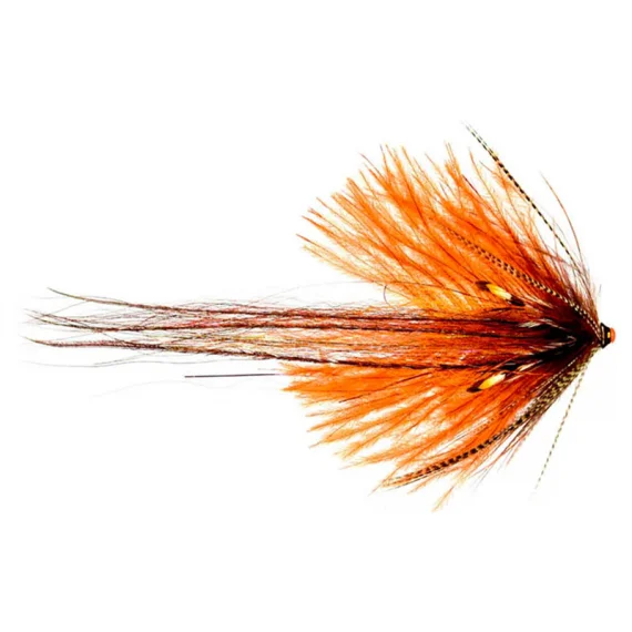 sportfishtackle202606040025572565274
