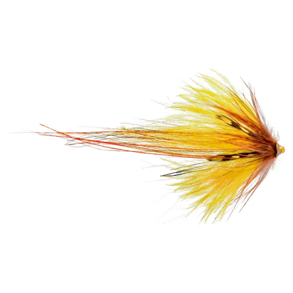 sportfishtackle202606040026052565306