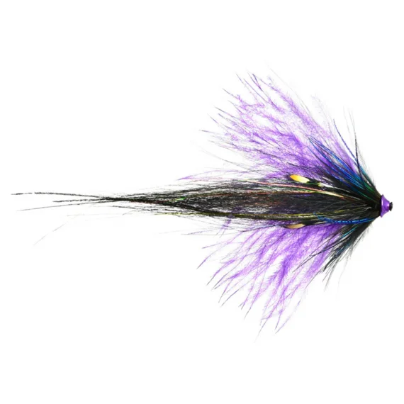 sportfishtackle202606040026092565322