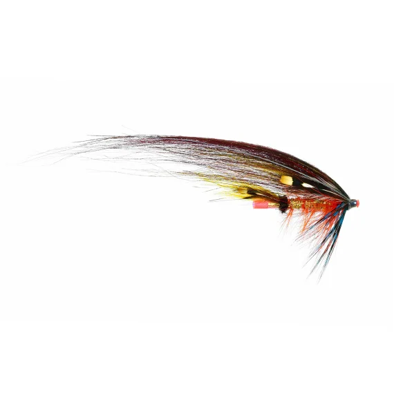 sportfishtackle202606040043102569577