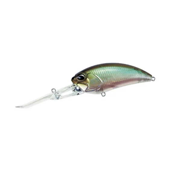 sportfishtackle202606040045432570245