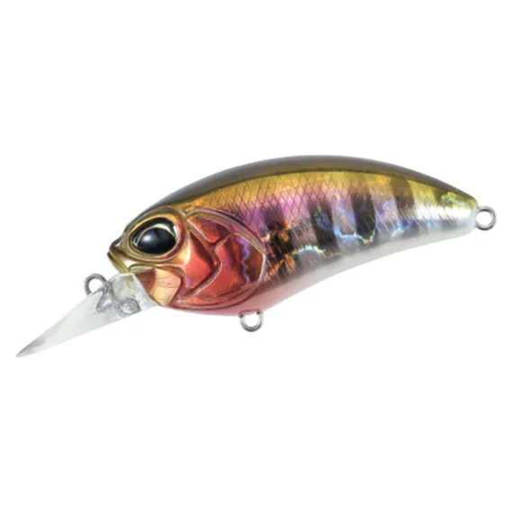 sportfishtackle202606040050242571449