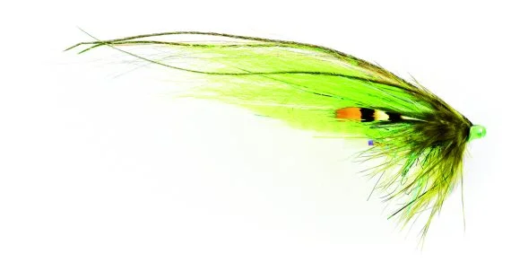 sportfishtackle202606040054322572478