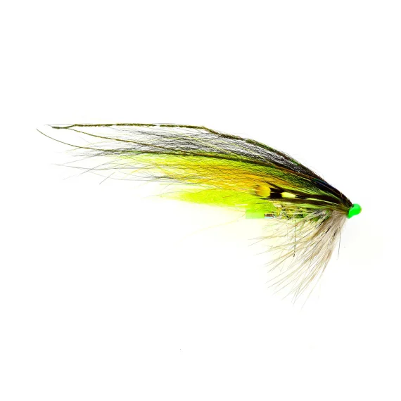 sportfishtackle202606040054342572487