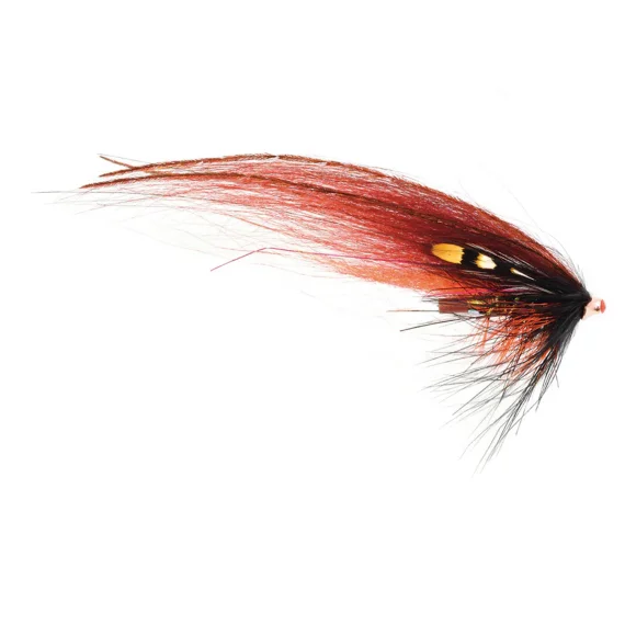 sportfishtackle202606040055052572613